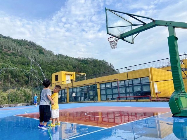 横山区网站建设设计